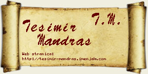 Tešimir Mandraš vizit kartica